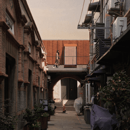 Thresholds thumbnail